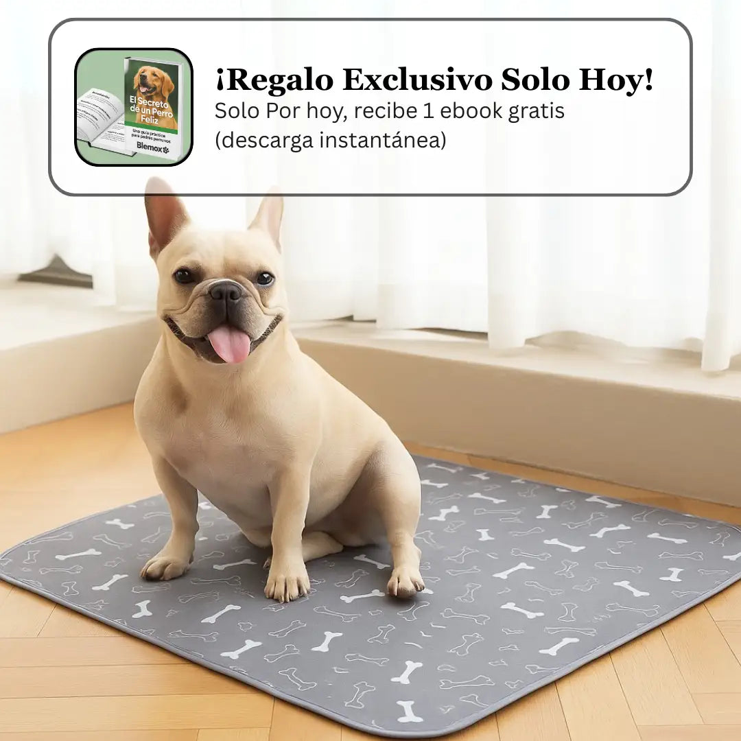 Blemox – El único tapete para perros que necesitas