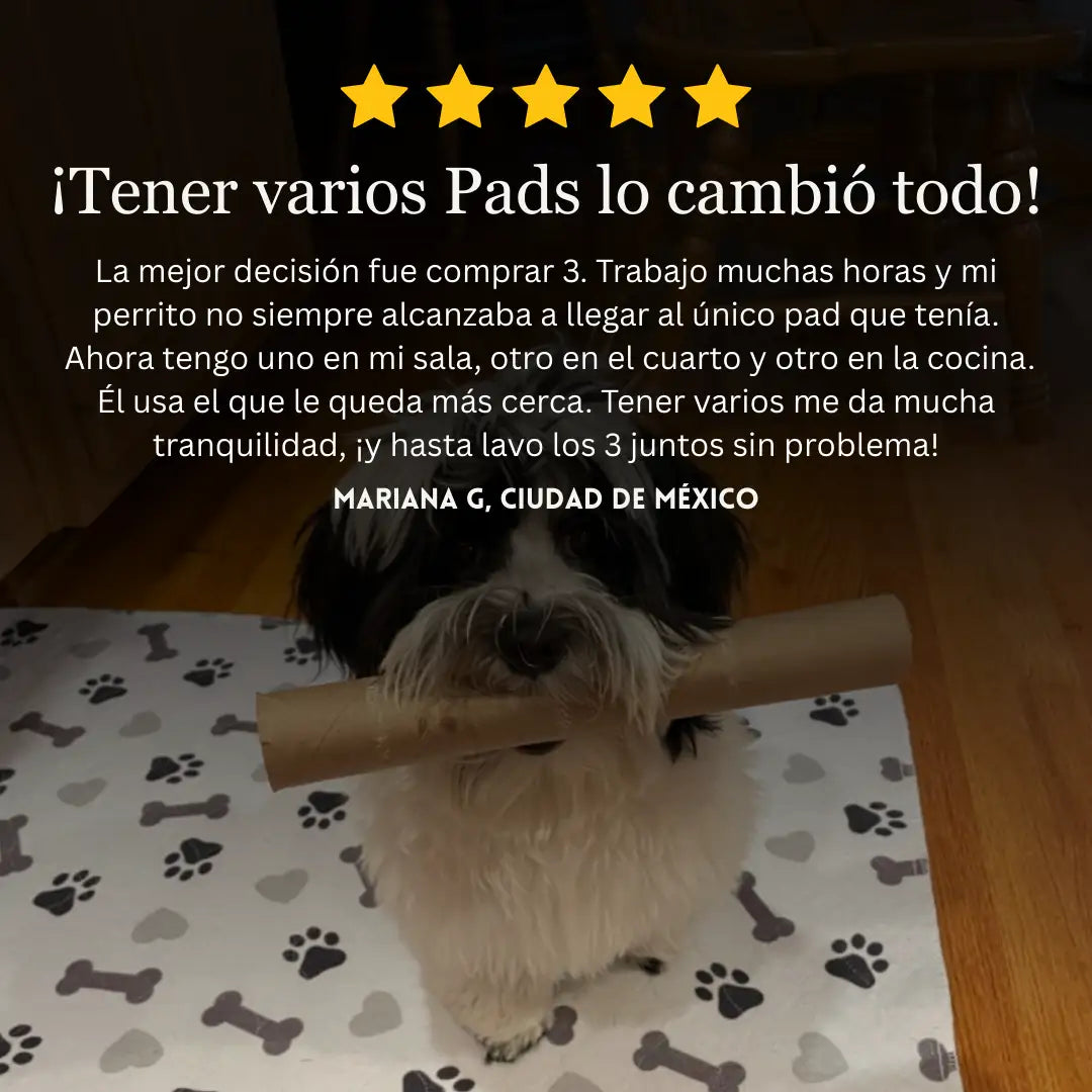Blemox – El único tapete para perros que necesitas