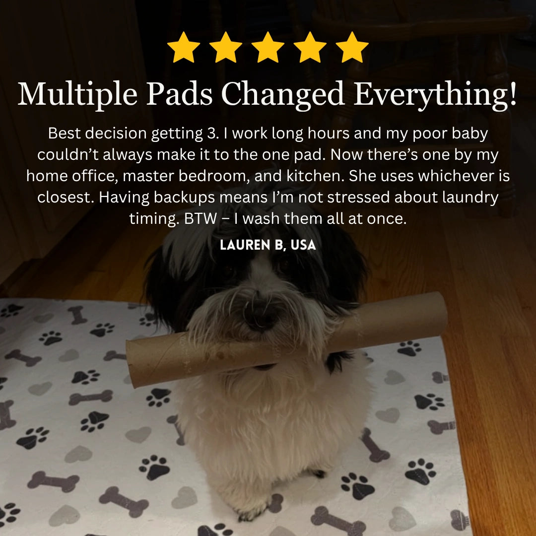 Washable Pad With Pheromone Technology