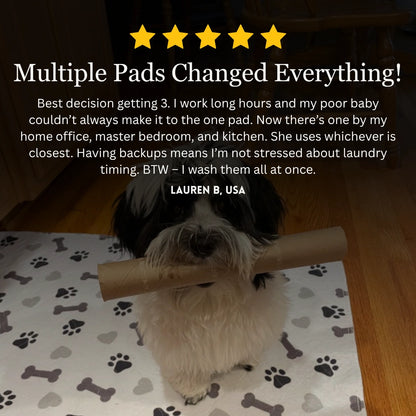 Washable Pad With Pheromone Technology