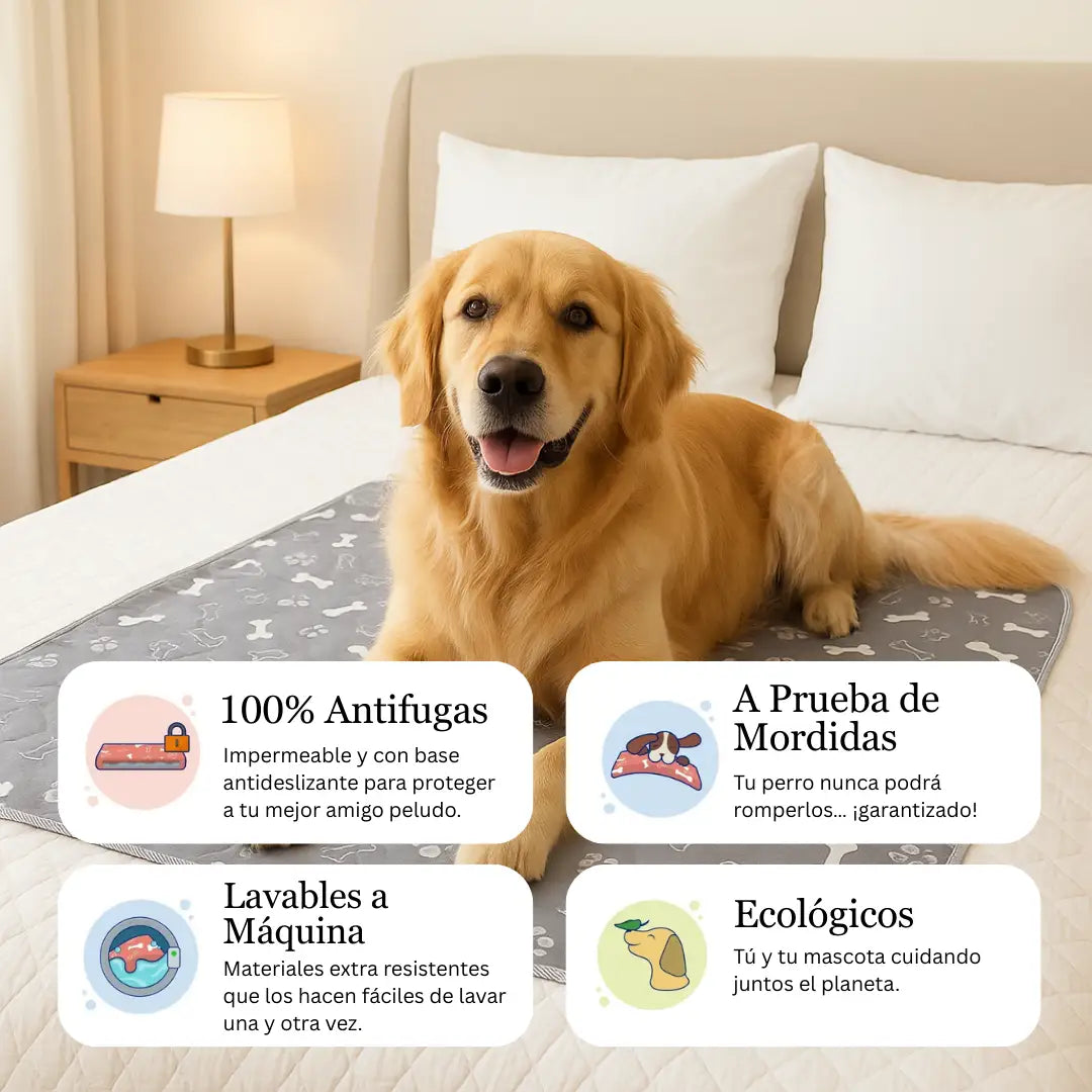 Blemox – El único tapete para perros que necesitas