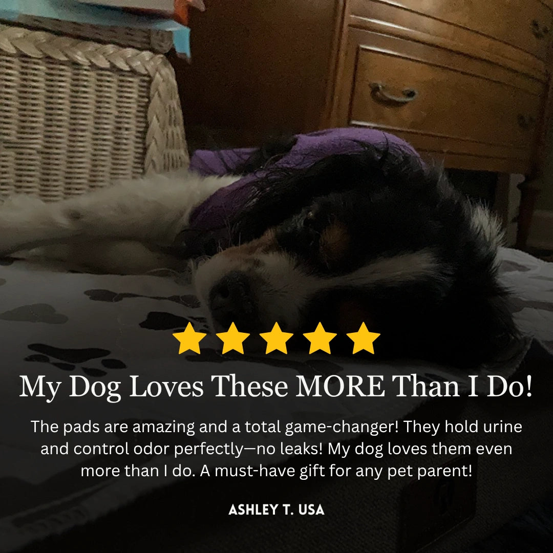 Washable Pad With Pheromone Technology