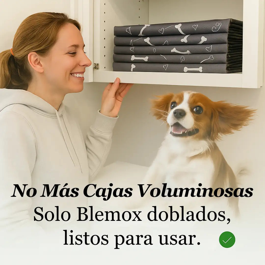 Blemox – El único tapete para perros que necesitas