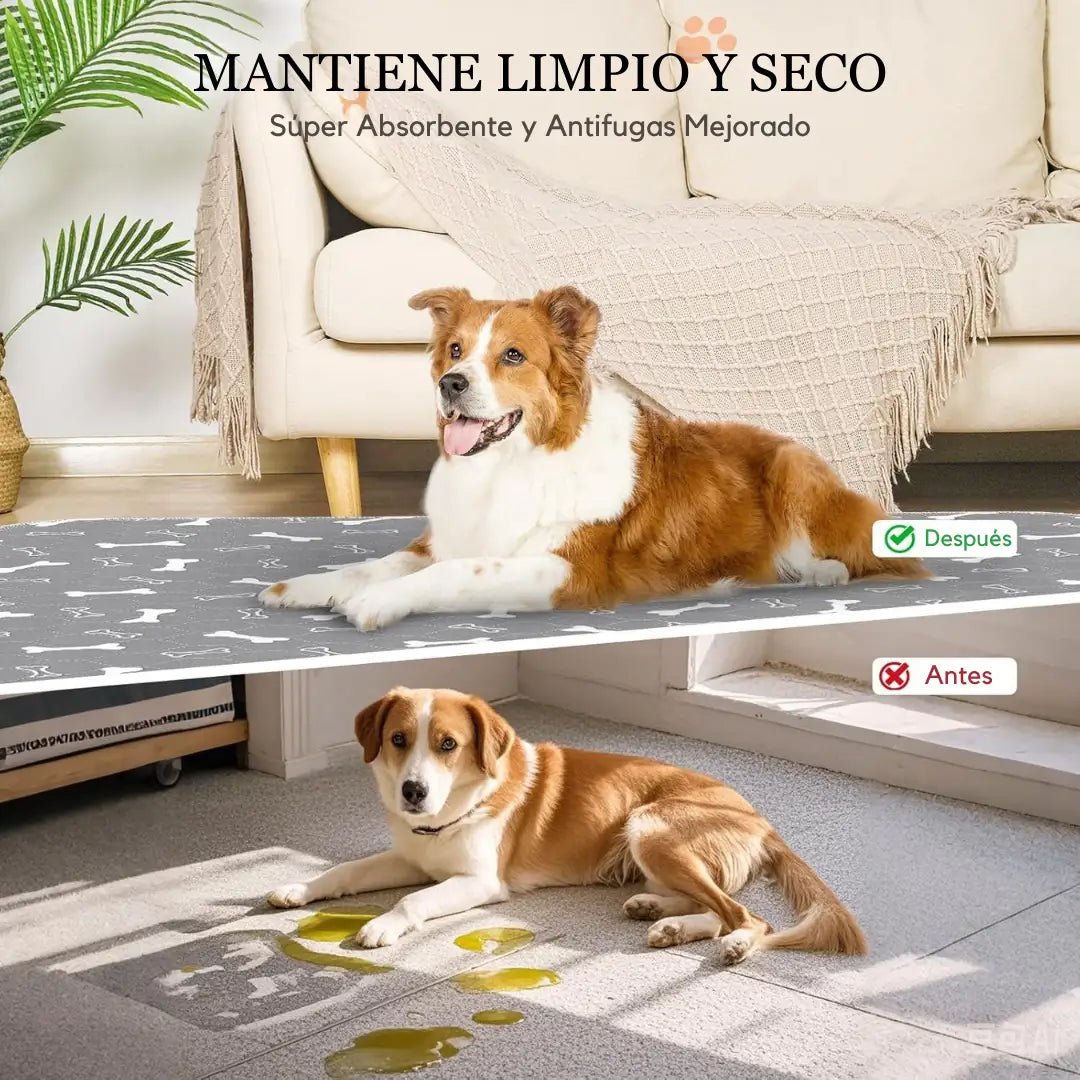 Blemox – El único tapete para perros que necesitas